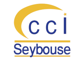 cci-seybouse-removebg-preview